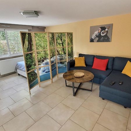 Le Rocher De Bel Air -40M2 -Chaleureux 3 Etoiles Saint-Aignan-Grand-Lieu Exterior photo
